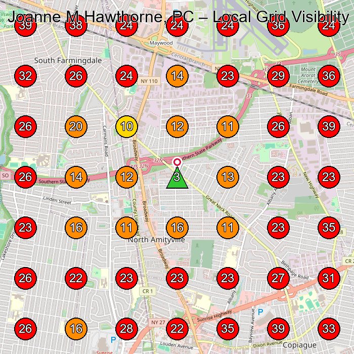 Joanne M Hawthorne, PC GeoGrid visibility map for Home Improvement Store in Farmingdale